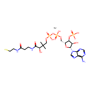 CAS: 55672-92-9 | BI9905 | Coenzyme A, Sodium salt