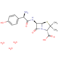 CAS:61336-70-7 | BIA0101 | Amoxycillin trihydrate