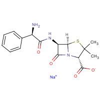 CAS:69-52-3 | BIA0104 | Ampicillin Sodium