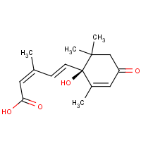 CAS:21293-29-8 | BIA0125 | (+)-Abscisic acid