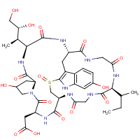 CAS:21150-22-1 | BIA0311 | beta-Amanitin from Amanita Phalloides