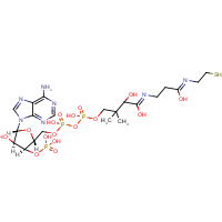 CAS:85-61-0 | BIA0812 | Coenzyme A Free Acid