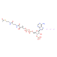 CAS:75520-41-1 | BIA1091 | Acetyl-Coenzyme A Trilithium Salt