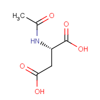 CAS:997-55-7 | BIA1223 | N-Acetyl-L-aspartic acid