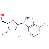 CAS:58-61-7 | BIA2545 | Adenosine