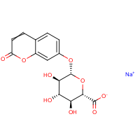 CAS: 168286-98-4 | BIA362 | 7-Hydroxycoumarin glucuronide sodium salt