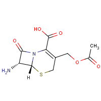 CAS: 957-68-6 | BIA4007 | 7-Aminocephalosporanic acid