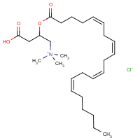 CAS:149116-07-4 | BIA4018 | Arachidoyl-DL-carnitine chloride