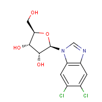 CAS: 53-85-0 | BIA8417 | 5,6-Dichlorobenzimidazole 1-Beta-D-ribofuranoside