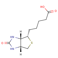 CAS:58-85-5 | BIB0603 | D-(+)-Biotin