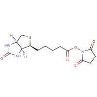 CAS:35013-72-0 | BIB101 | N-Hydroxysuccinimido biotin