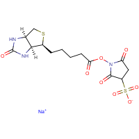 CAS:194041-65-1 | BIB102 | Sulphosuccinimido biotin