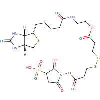 CAS: 858128-64-0 | BIB105 | Sulphosuccinimidyl-2-(biotinamido)ethyl-1,3-dithiopropionate