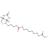 CAS:93285-75-7 | BIB107 | N-Iodoacetyl-N-biotinylhexylenediamine