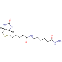 CAS:109276-34-8 | BIB109 | Biotinamidocaproyl hydrazine