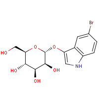 CAS:  | BIB1408 | 5-Bromo-3-indolyl alpha-D-mannopyranoside
