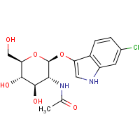CAS:156117-44-1 | BIB1410 | 6-Chloro-3-indolyl N-acetyl-beta-D-glucosaminide
