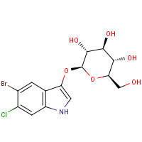 CAS:93863-89-9 | BIB1417 | 5-Bromo-6-chloro-3-indolyl beta-D-glucopyranoside