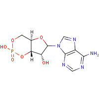CAS: 60-92-4 | BIB1479 | Adenosine 3',5'-cyclic monophosphate