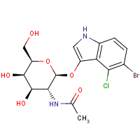 CAS:129572-48-1 | BIB1741 | 5-Bromo-4-chloro-3-indolyl N-acetyl-beta-D-galactosaminide