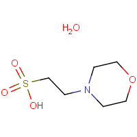 CAS:145224-94-8 | BIB2012 | 2-(N-Morpholino)ethanesulphonic acid monohydrate