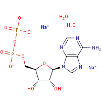 CAS:16178-48-6 | BIB3001 | Adenosine-5'-diphosphate disodium salt dihydrate