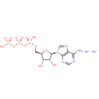CAS:987-65-5 | BIB3003 | Adenosine-5'-triphosphate disodium salt