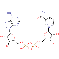 CAS:53-84-9 | BIB3011 | Nicotinamide adenine dinucleotide