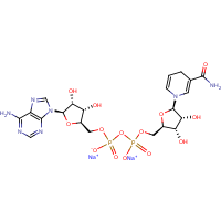 CAS: 606-68-8 | BIB3012 | Nicotinamide adenine dinucleotide (reduced form) disodium salt