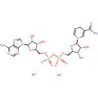 CAS:606-68-8 | BIB3012NG | Nicotinamide adenine dinucleotide (reduced form) disodium salt nutraceutical grade