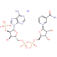 CAS: 698999-85-8 | BIB3013 | Nicotinamide adenine dinucleotide phosphate (oxidised form) monosodium salt hydrate