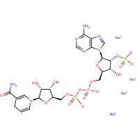 CAS: 2646-71-1 | BIB3014 | Nicotinamide adenine dinucleotide phosphate (reduced form) tetrasodium salt