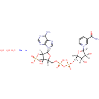 CAS: 24292-60-2 | BIB3015 | Nicotinamide adenine dinucleotide phosphate, disodium salt