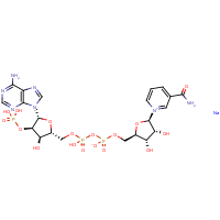 CAS:1184-16-3 | BIB3017 | Nicotinamide adenine dinucleotide phosphate monosodium salt anhydrous