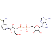 CAS: 4090-29-3 | BIB5004 | beta-Thionicotinamide adenine dinucleotide, oxidised form