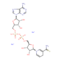 CAS:1921-48-8 | BIB5005 | beta-Thionicotinamide adenine dinucleotide, reduced form disodium salt