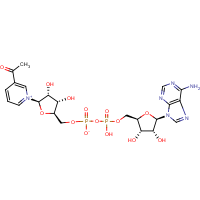 CAS: 86-08-8 | BIB5006 | 3-Acetylpyridine adenine dinucleotide, oxidised form