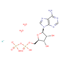 CAS:72696-48-1 | BIB5010 | Adenosine 5'-diphosphate monopotassium salt