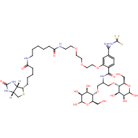 CAS: 207971-25-3 | BIB5642 | N-[2-[2-[2-[(N-Biotinyl-caproylamino)-ethoxy)ethoxyl]-4-[2-(trifluoromethyl)-3H-diazirin-3-yl]benzoyl]-1,3-bis(mannopyranosyl-4-yloxy)-2-propylamine