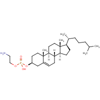 CAS: 120090-10-0 | BIB6033 | Cholesteryl phosphorylethanolamine