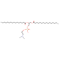 CAS:  | BIB6044 | 1,2-Dipalmitoyl-rac-glycero-3-phospho-N,N-dimethylethanolamine
