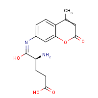 CAS: 98516-76-8 | BIB6056 | L-Glutamic acid alpha-(7-amido-4-methylcoumarin)