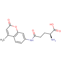 CAS: 72669-53-5 | BIB6057 | L-Glutamic acid gamma-(7-amido-4-methylcoumarin)