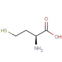 CAS:6027-13-0 | BIB6065 | L-Homocysteine