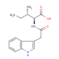 CAS: 57105-45-0 | BIB6075 | Indole-3-acetyl-L-isoleucine