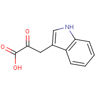 CAS: 392-12-1 | BIB6079 | Indole-3-pyruvic acid