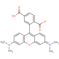 CAS:91809-67-5 | BIB6288 | 6-Carboxytetramethylrhodamine