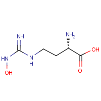 CAS: 189302-40-7 | BIBA1038 | N-omega-Hydroxy-L-norarginine