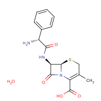 CAS: 15686-71-2 | BIC0110 | Cephalexin monohydrate