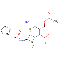 CAS:58-71-9 | BIC0115 | Cephalothin sodium salt